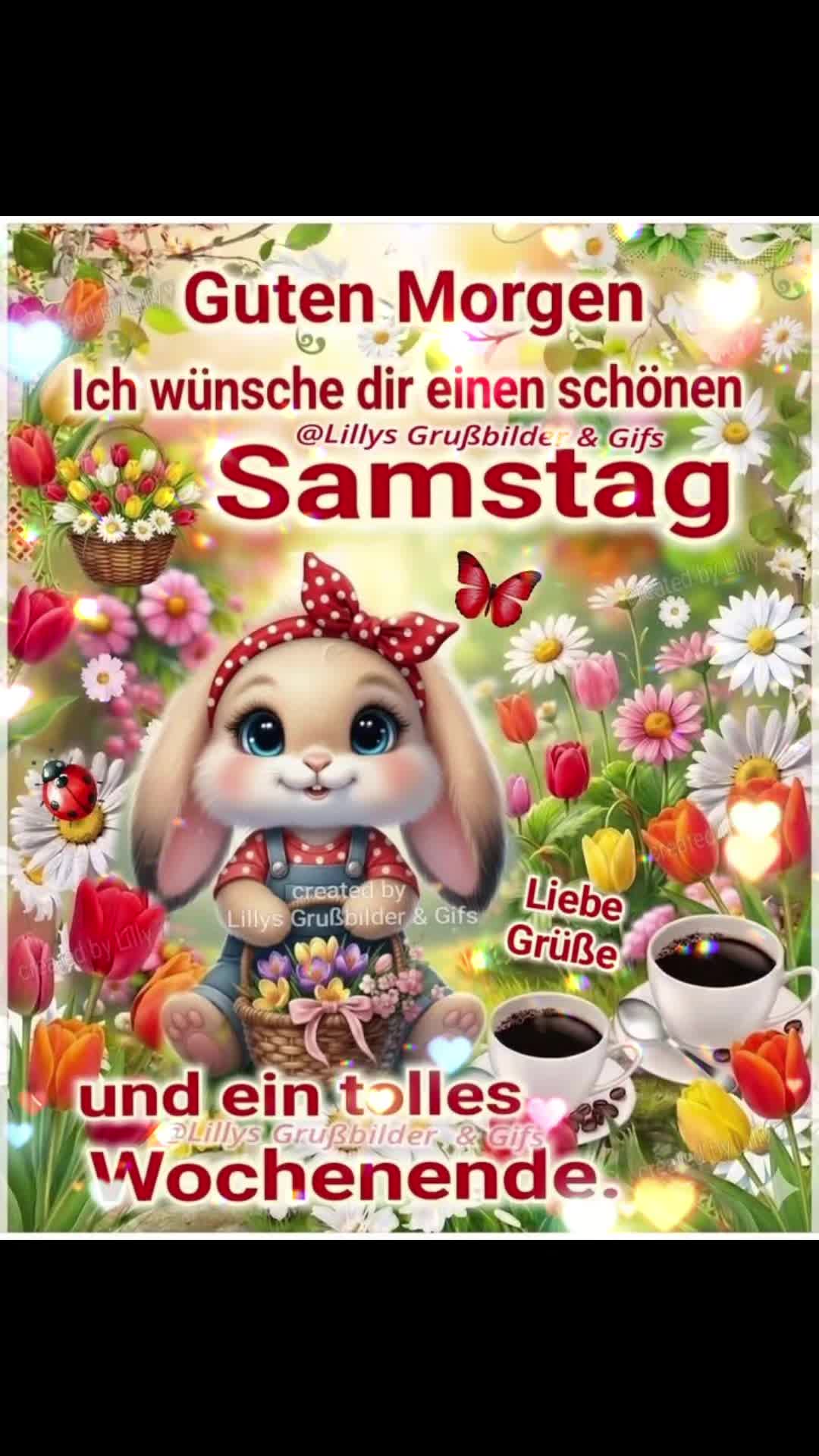 @hammly