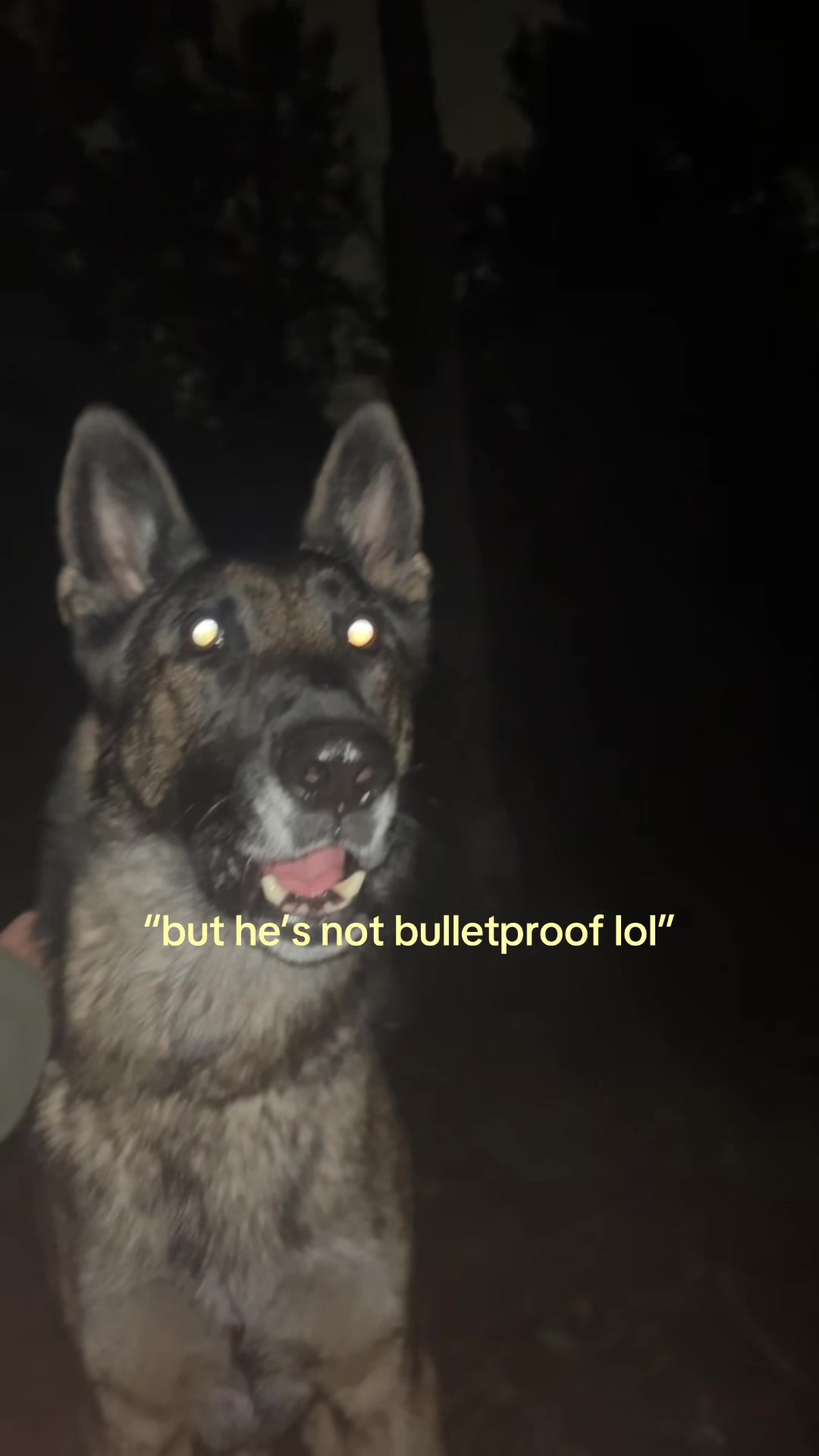 @𝐌𝐨𝐨𝐬𝐞