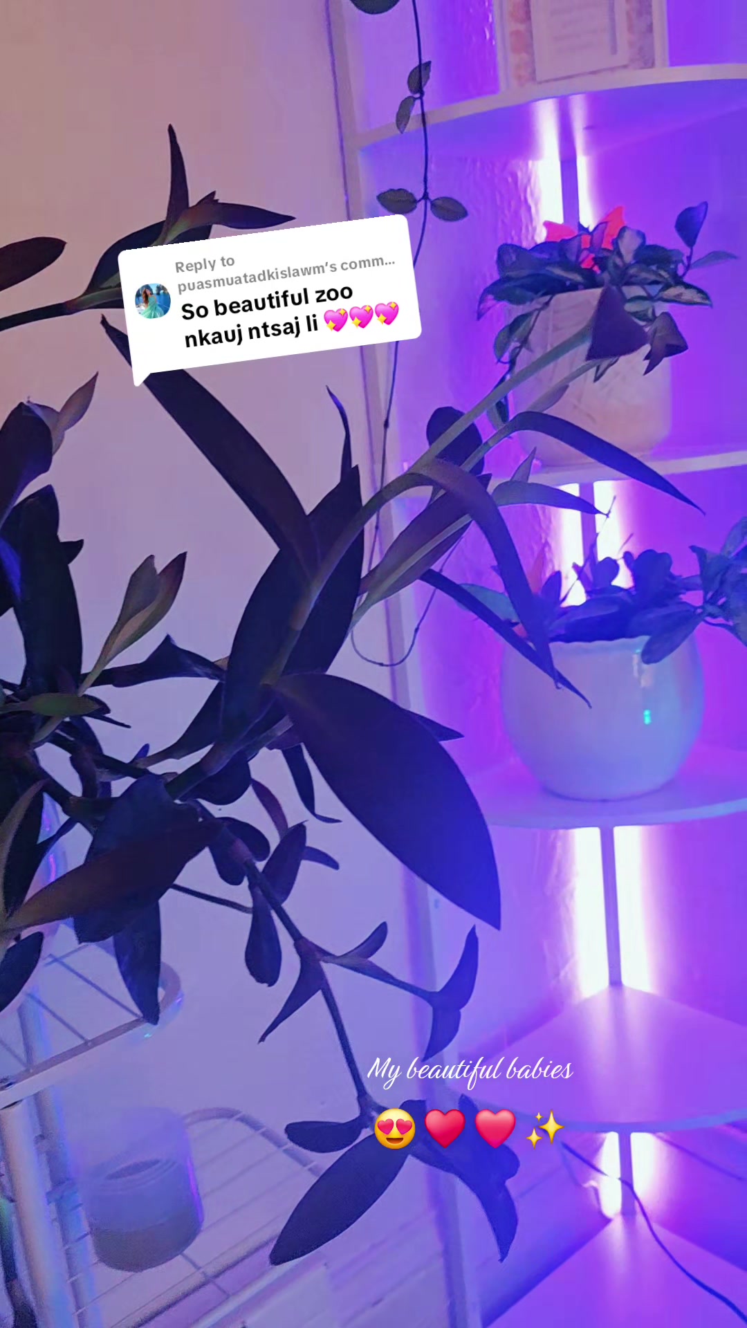 @MiNivNam