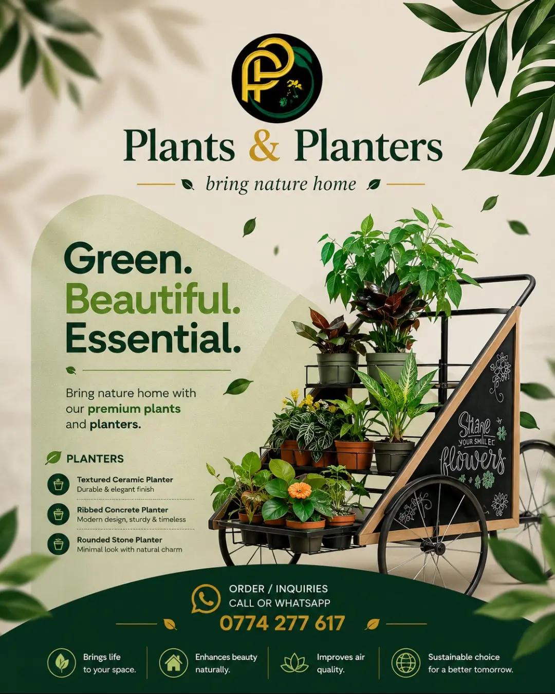 @Plants&PlantersbyChefJ (AJE)