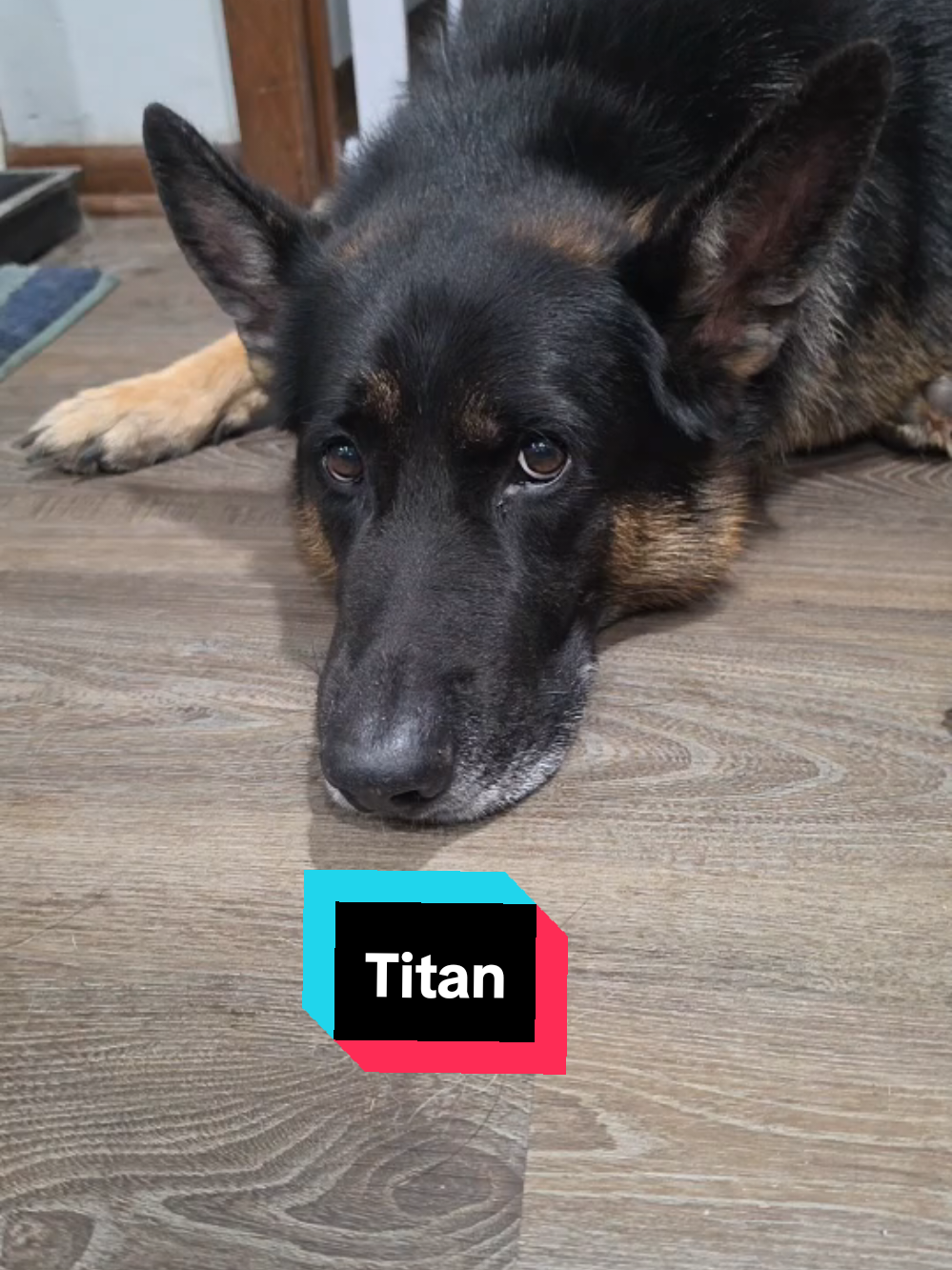 @💥Titan💥