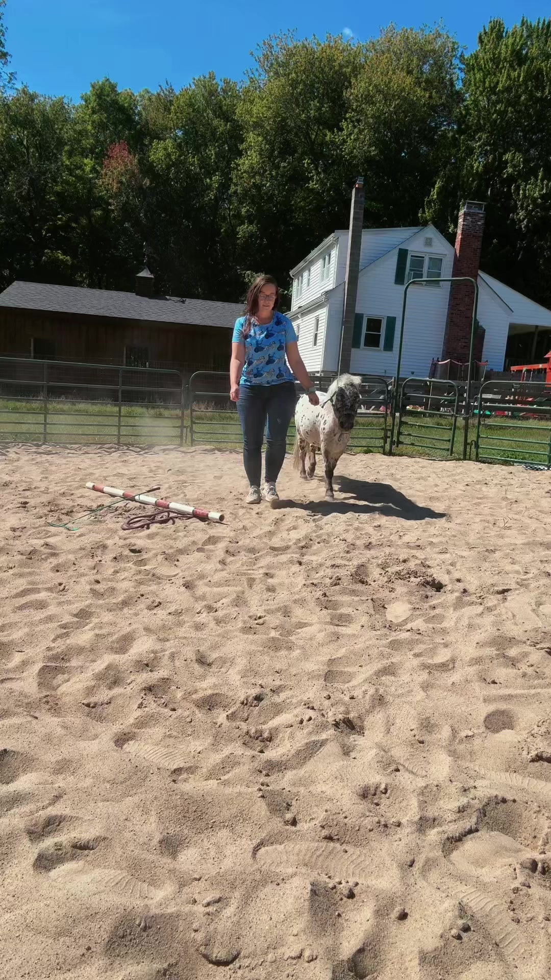 @Maxwell Farms