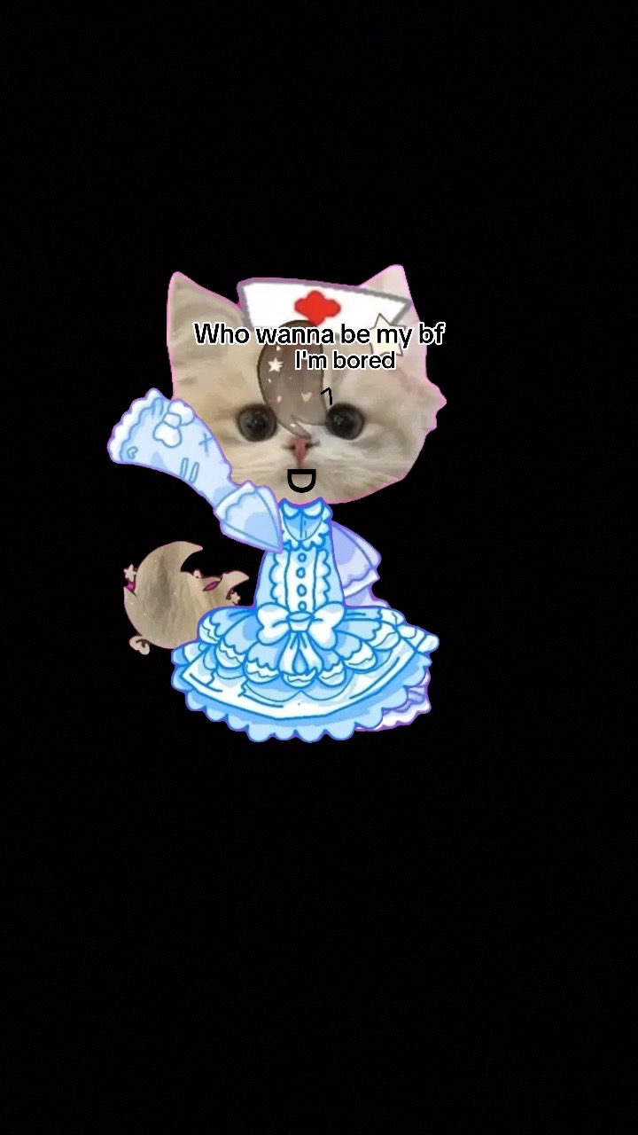 @▄︻デnyanദ്ദി◍˃ ᵕ ˂◍)══━一