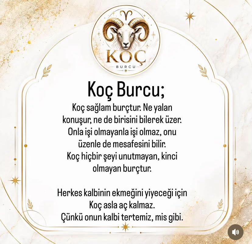 @kocburcu6