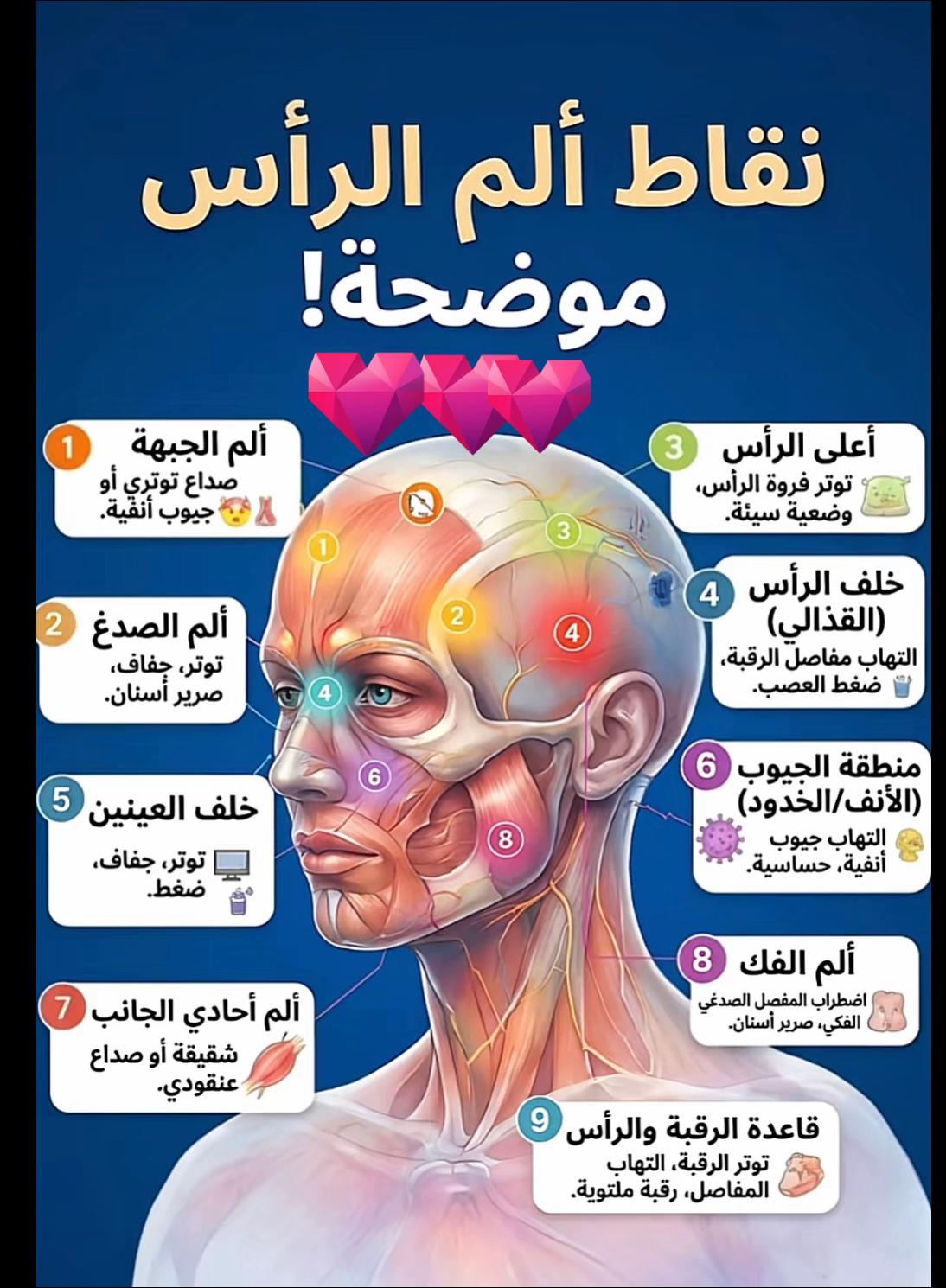 @Dr. Bint Al-Janoub