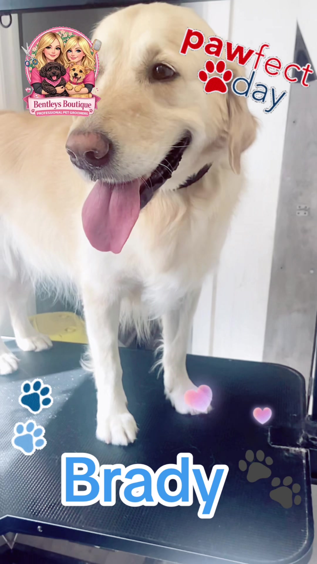 @Bentleys Boutique Pet Groomers