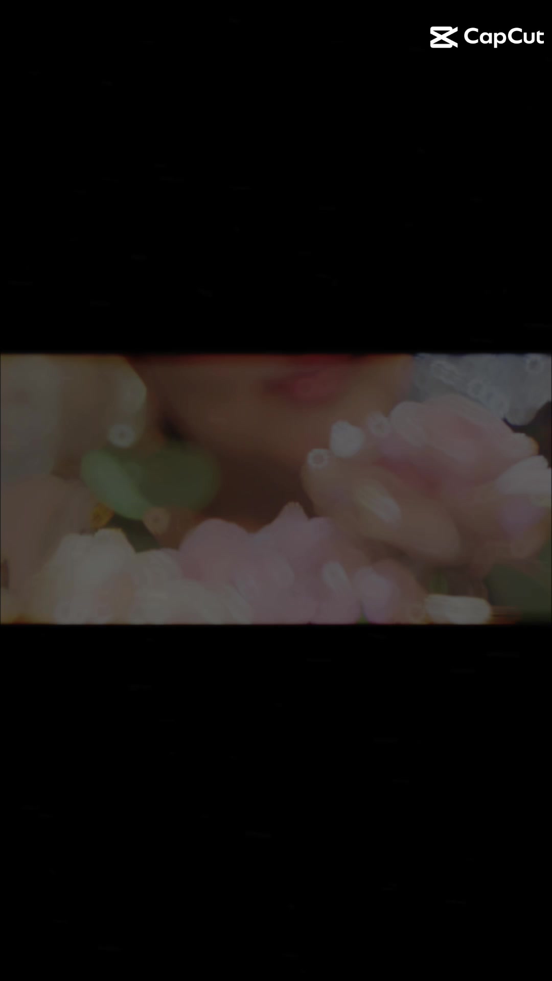 @shoira2281