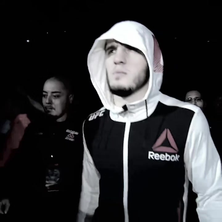 @MMA🐺