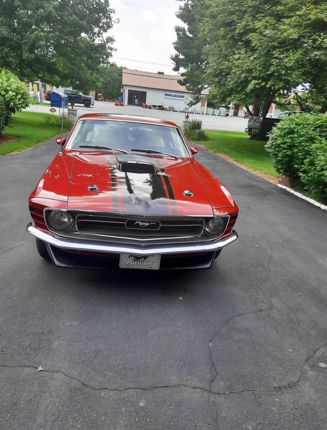 @Mustang / Muscle (USA)