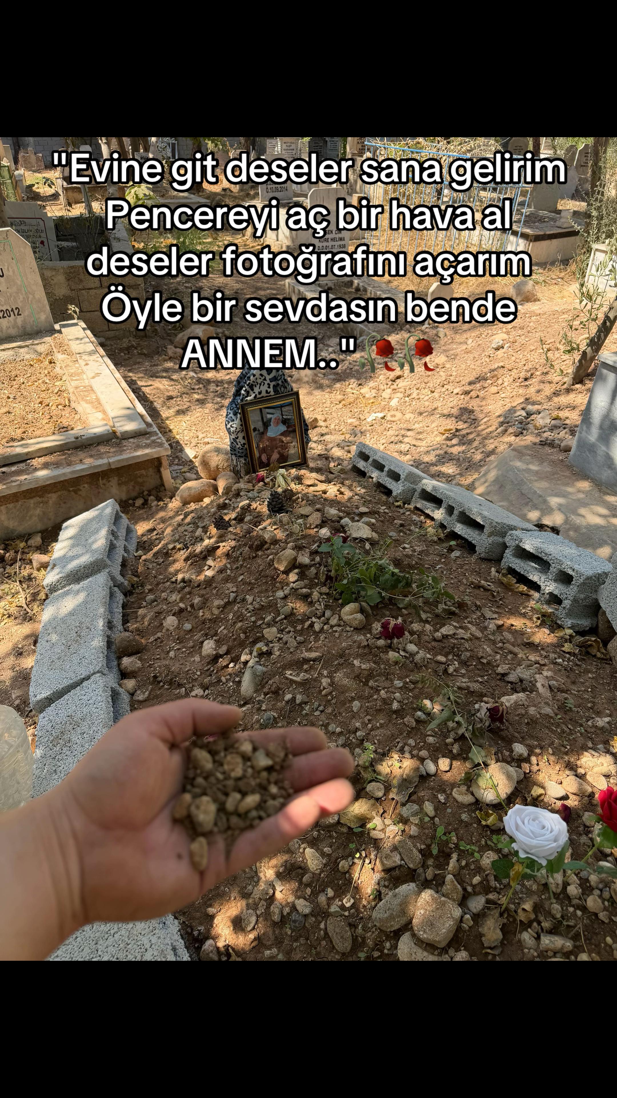 @ALİCAN