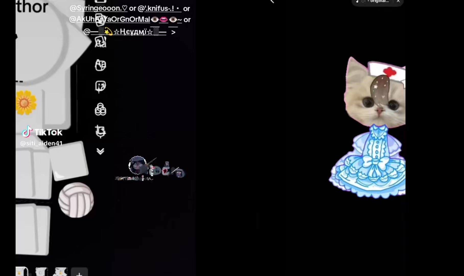 @▄︻デnyanദ്ദി◍˃ ᵕ ˂◍)══━一