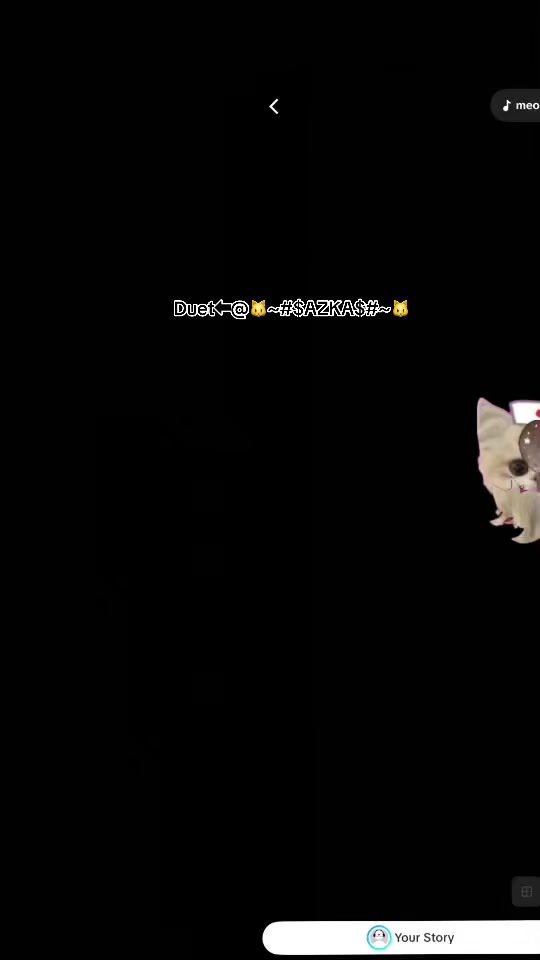 @▄︻デnyanദ്ദി◍˃ ᵕ ˂◍)══━一