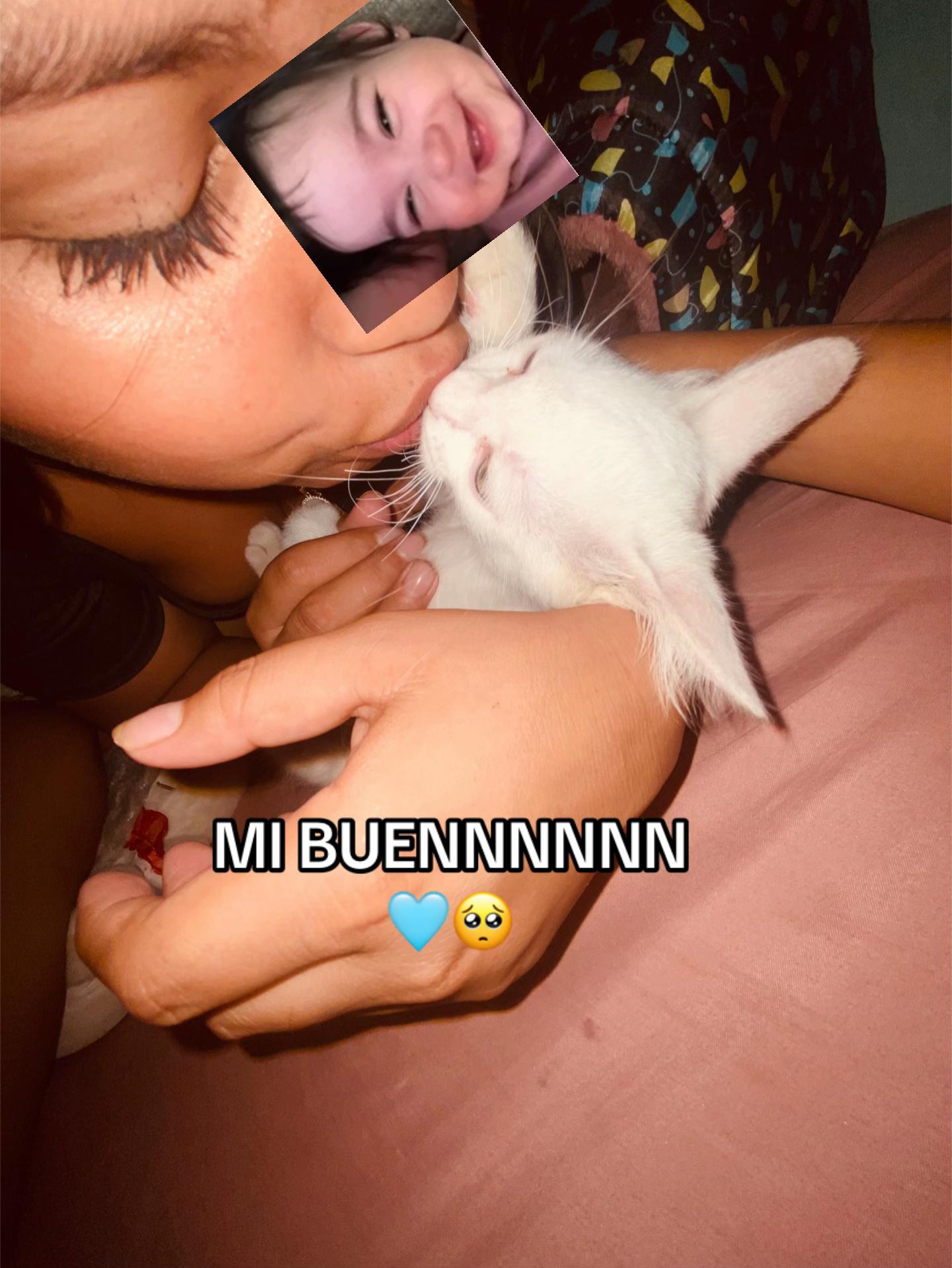 @Luz