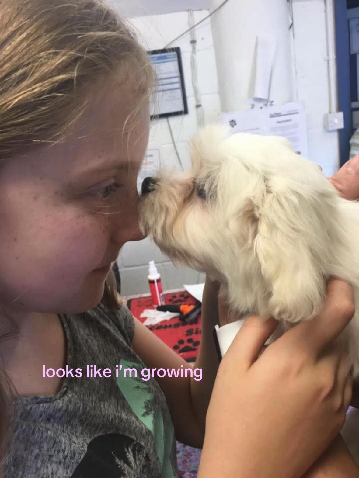 @abbiesonlyacc