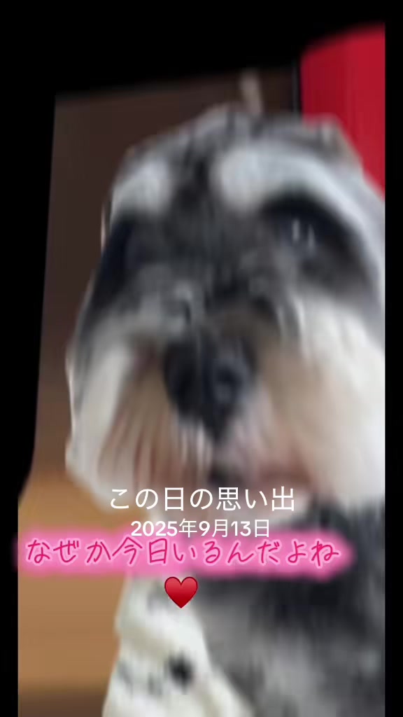 @@一笑懸命笑笑ちゃん