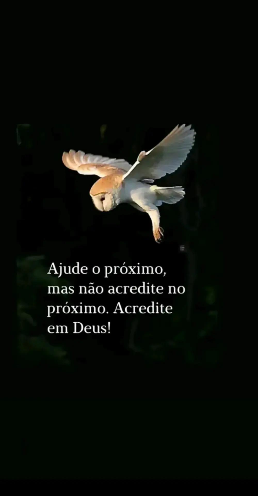 @aureliocampusano
