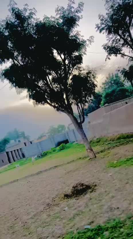 @╾━╤ہتوانڑیںデ╦︻