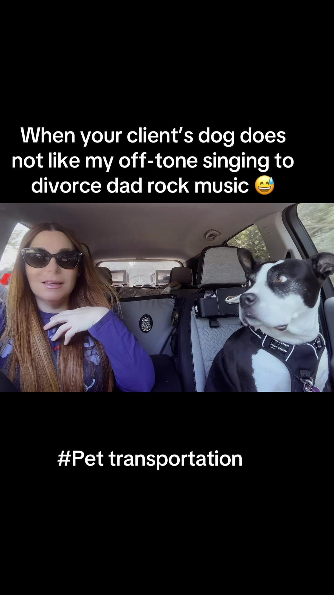 @The.Mobile.Vet.Tech
