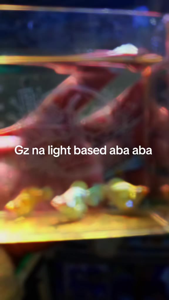 @Zai