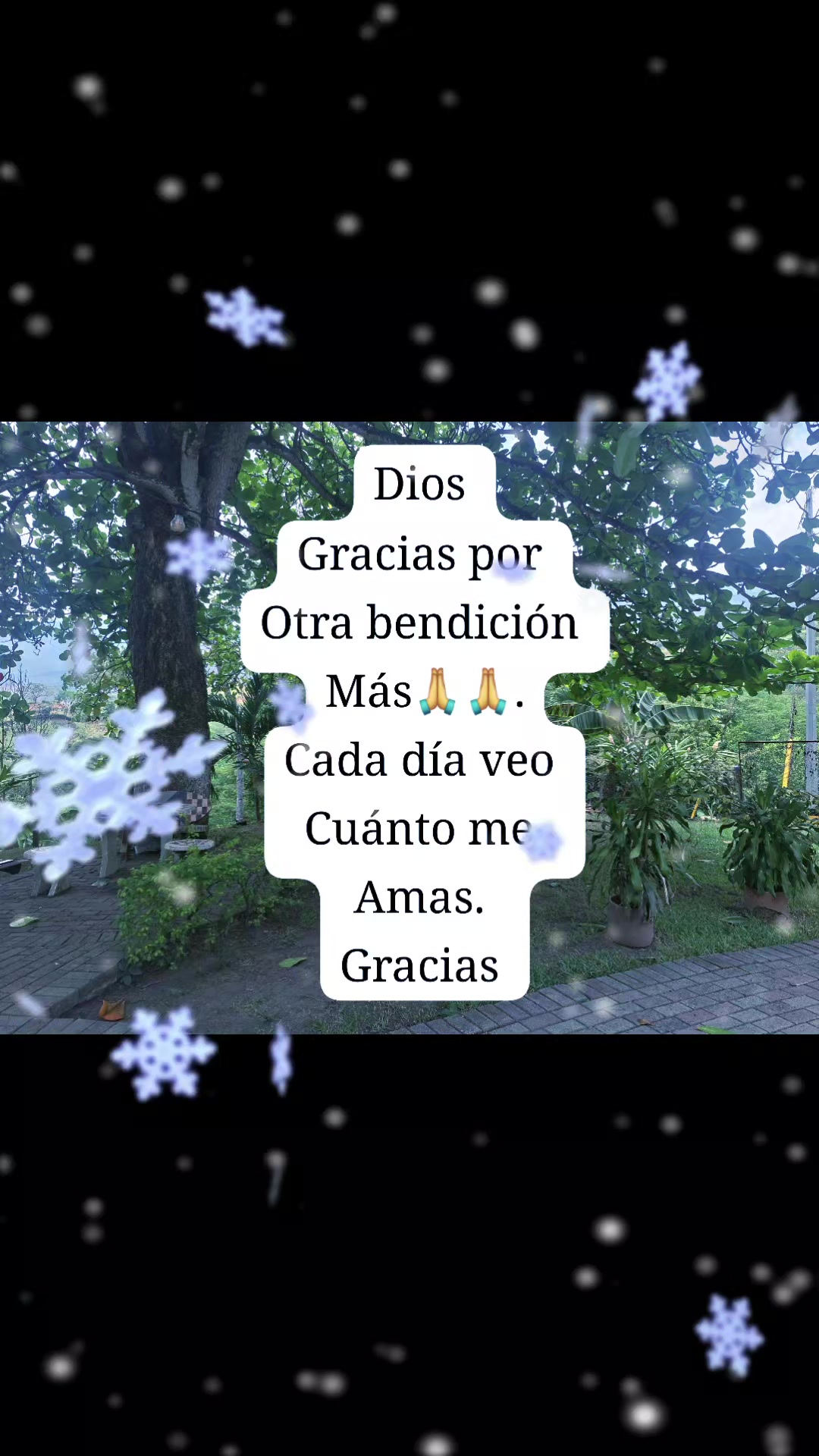 @Monik Delgado🦊