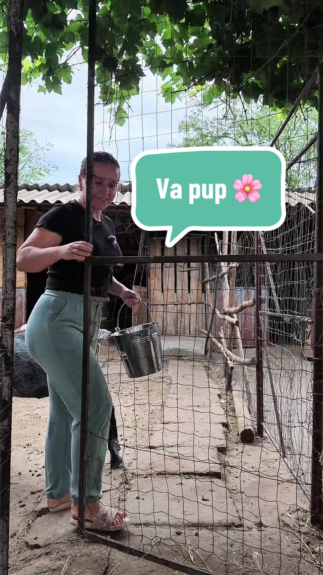 @OlteancaLuDi