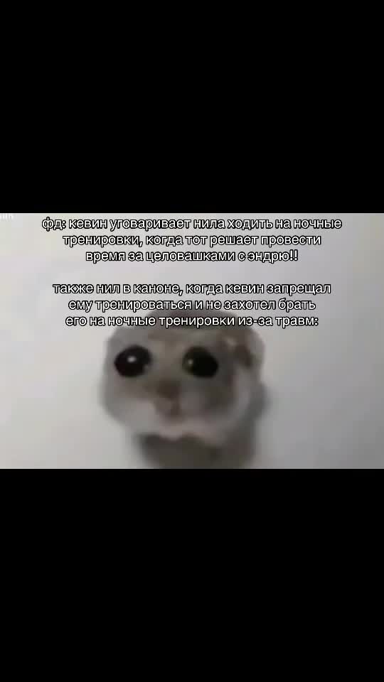 @владочка шляпкина ^_^