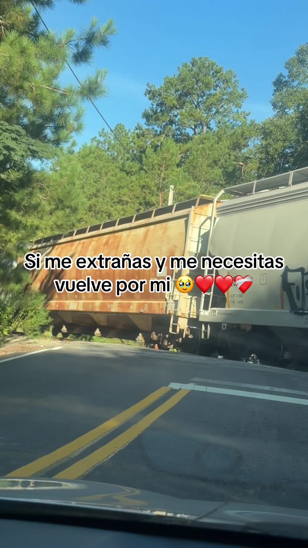 @Rosymoreno