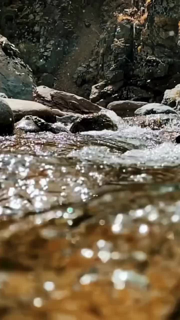 @PureToneTherapy