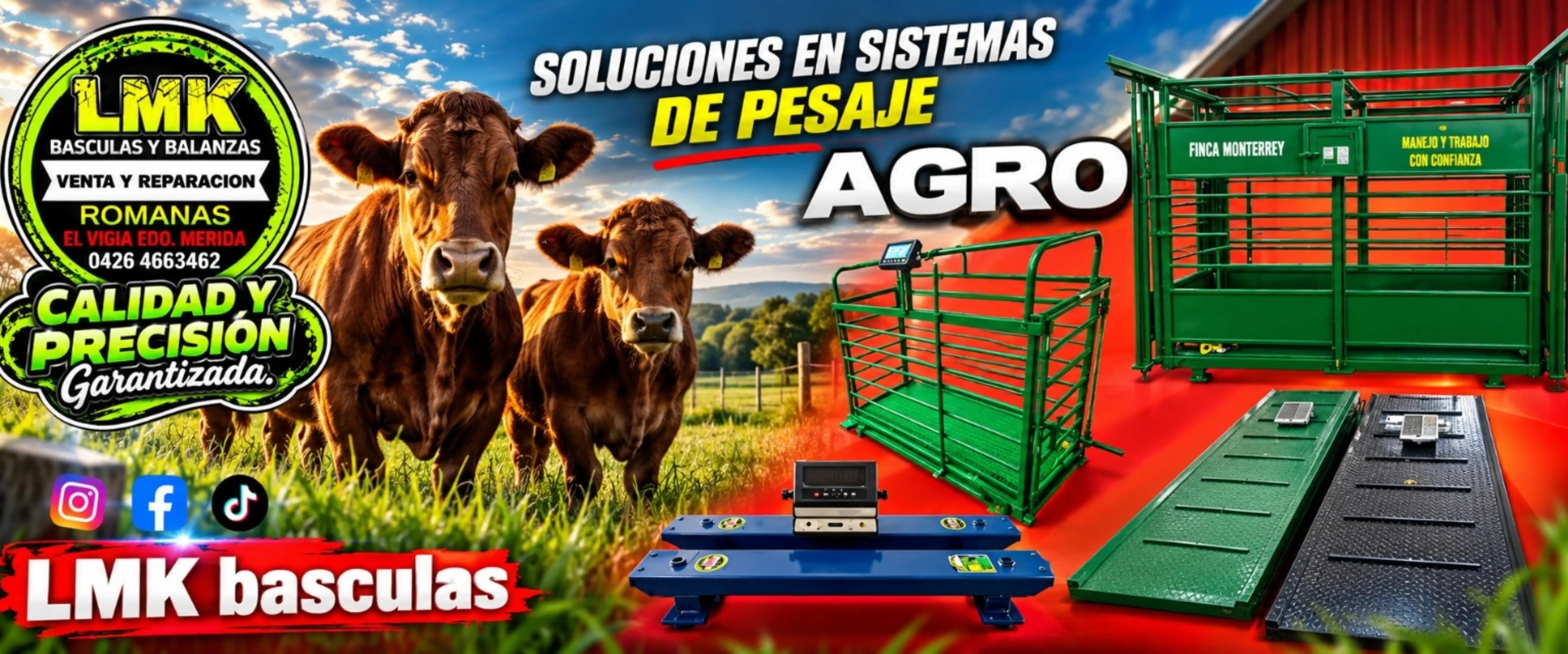 @LMK b&aacute;sculas y balanzas