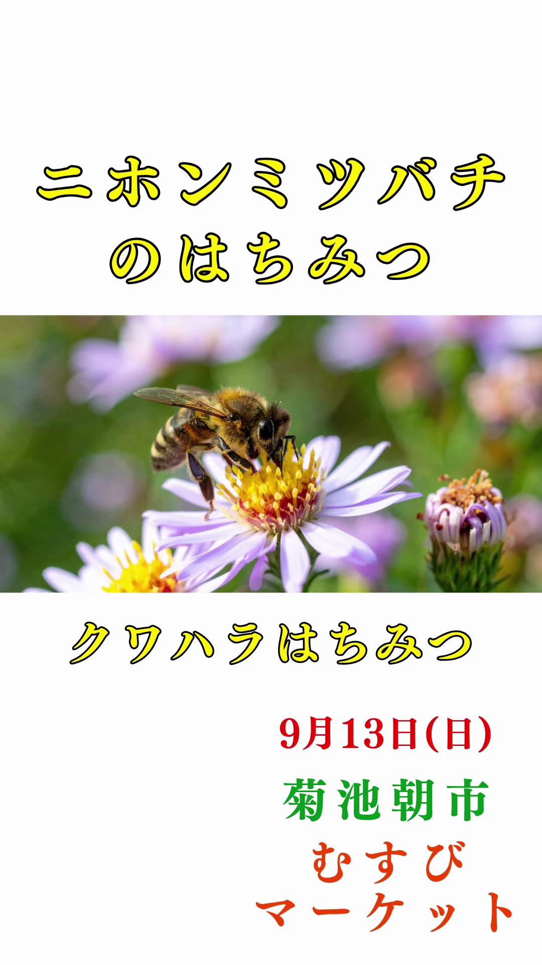 @ますな屋 @発酵食をあなたのご家庭に