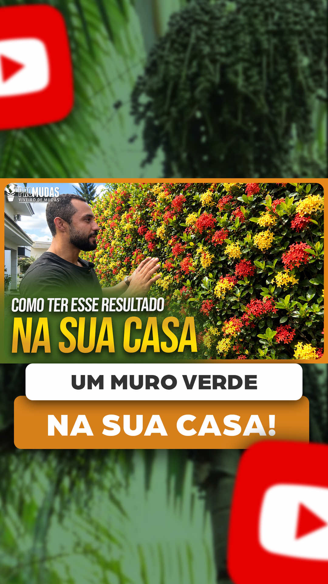 @ViveiroProMudas