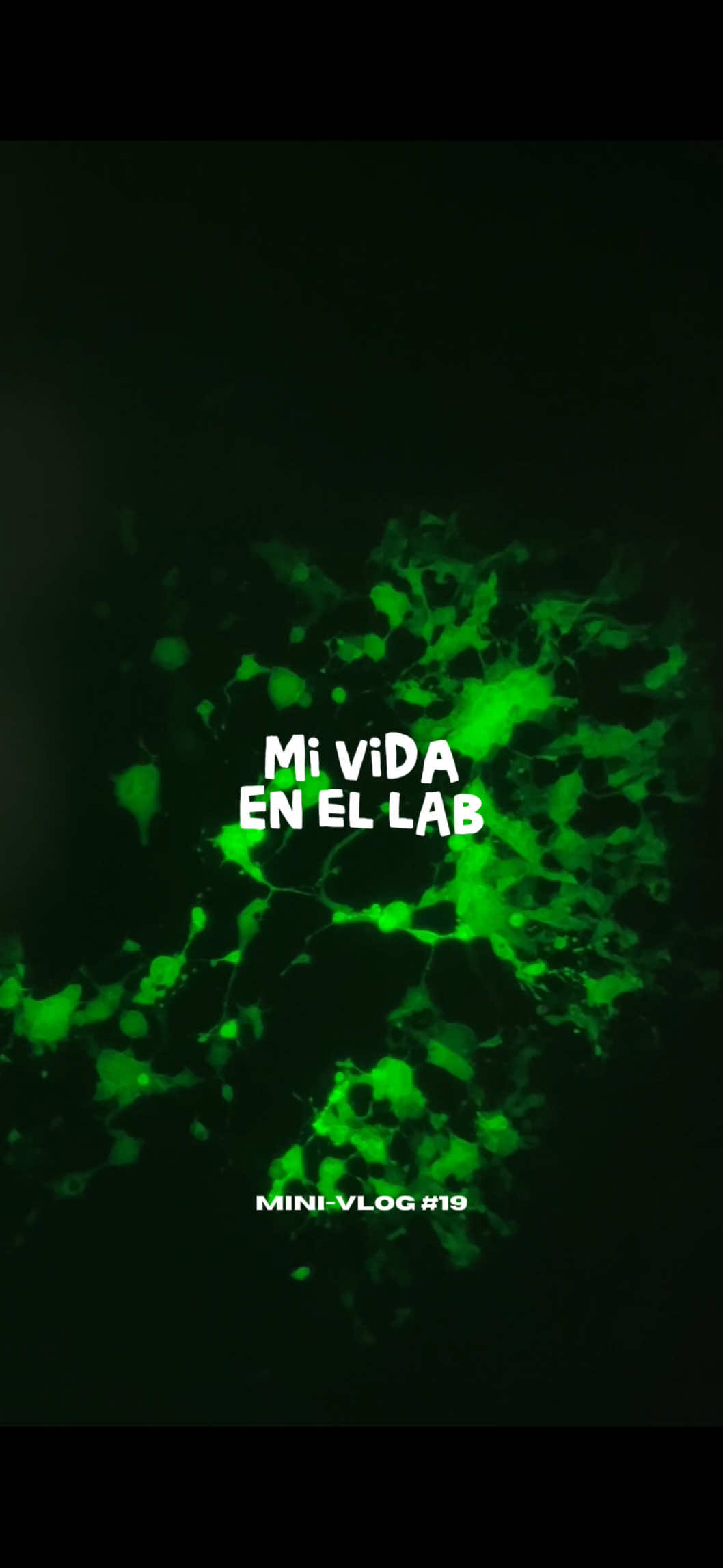 @Luis M. Mercado