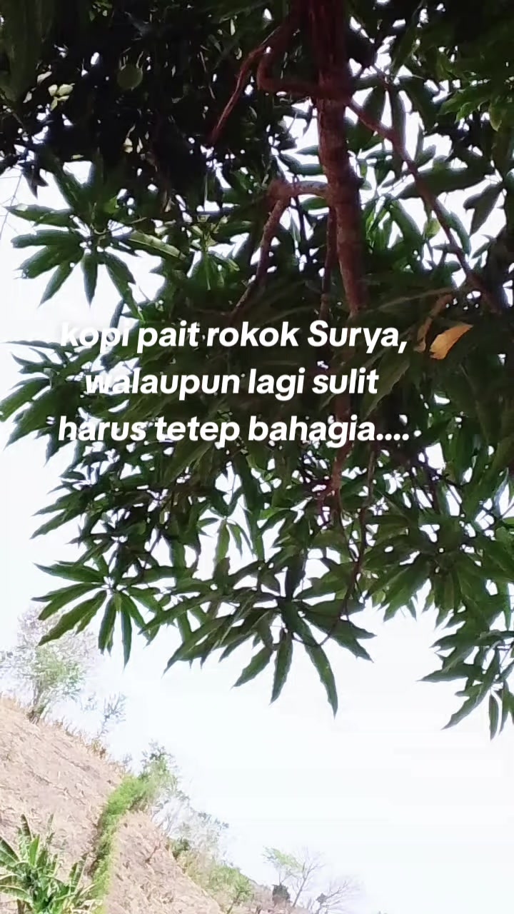 @💫🌸Senja &hearts;️💫