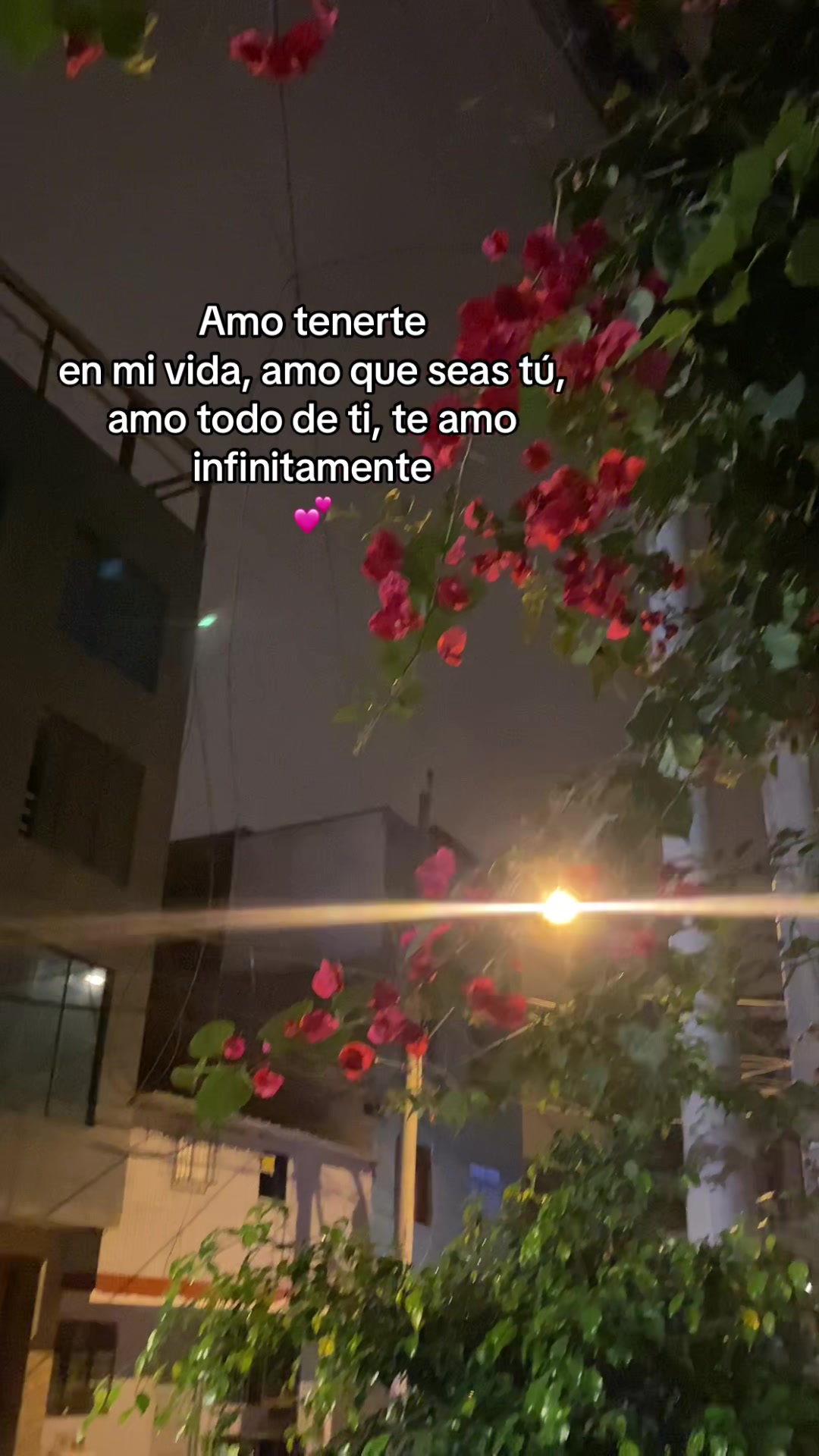 @Dar 🦦