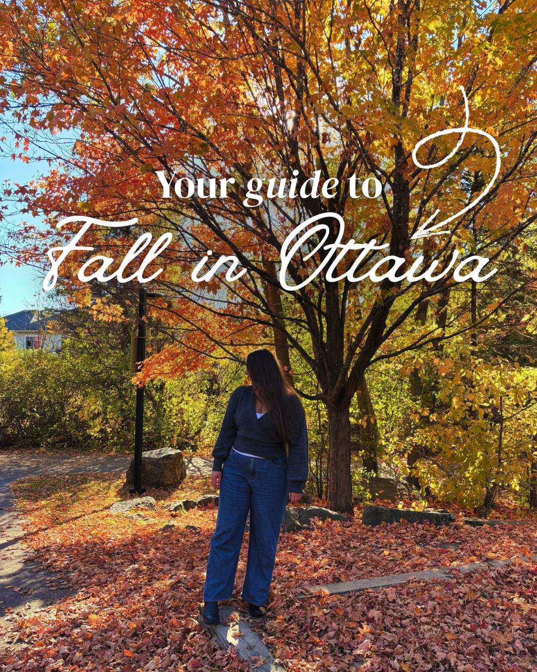 @Elser | Ottawa, Travel & Cozy