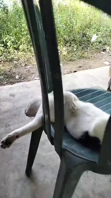 @@ไข่ตุ๋น