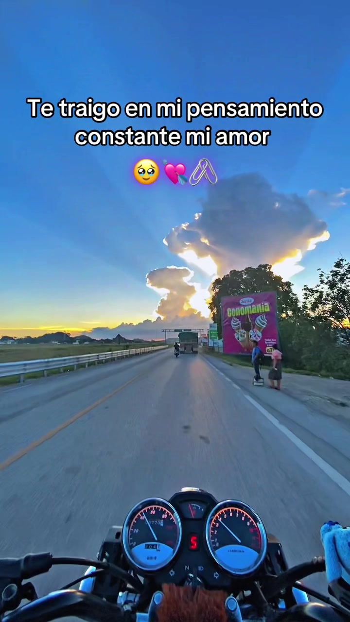 @Corvii_🦜 🐦&zwj;⬛