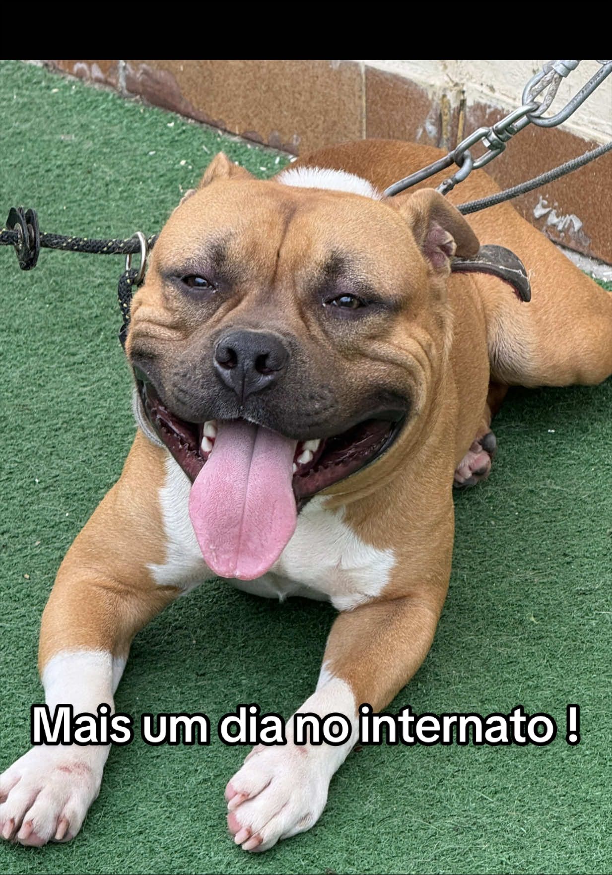 @Hanan&Rapadurabully