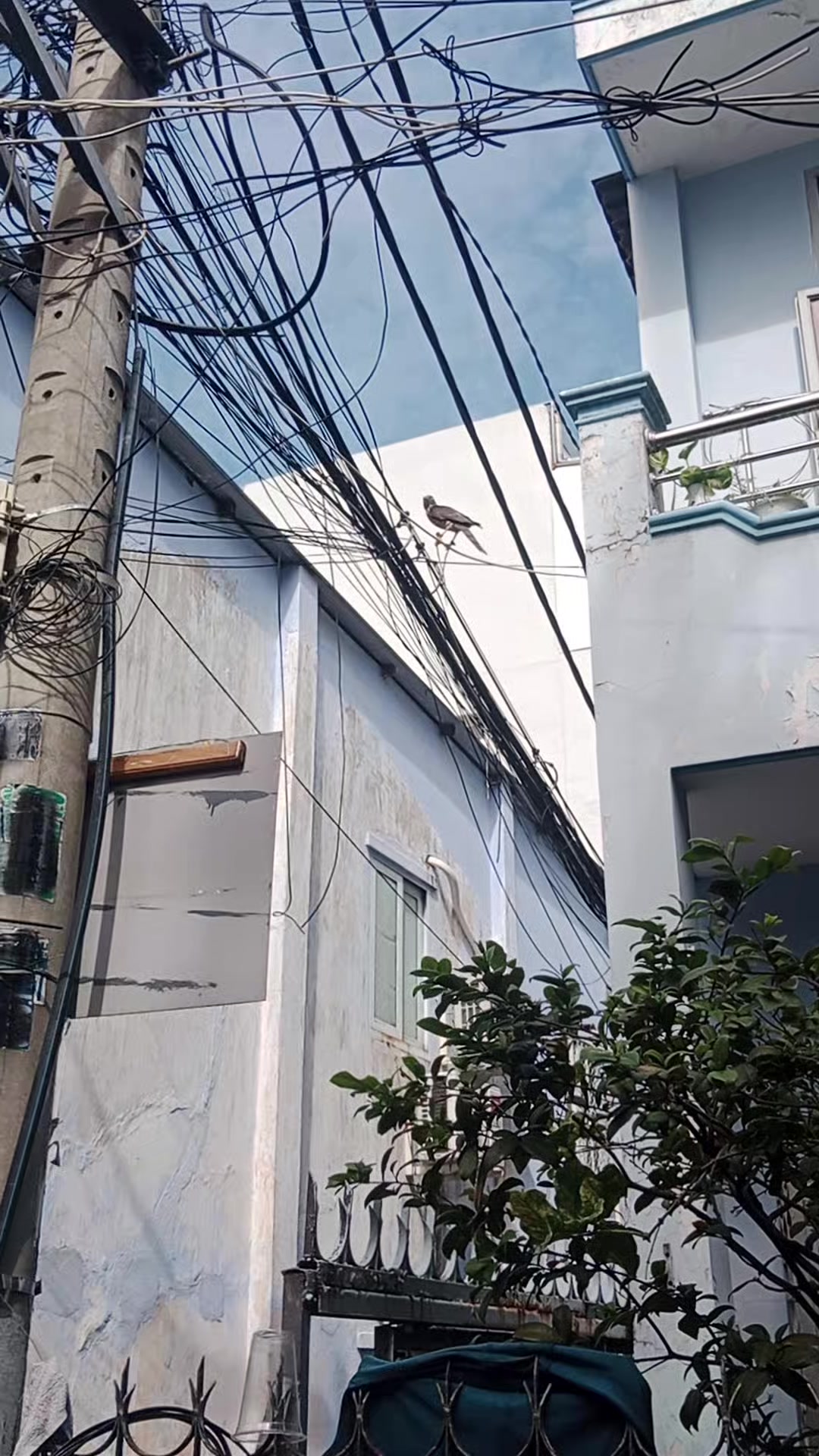 @Hải Phan
