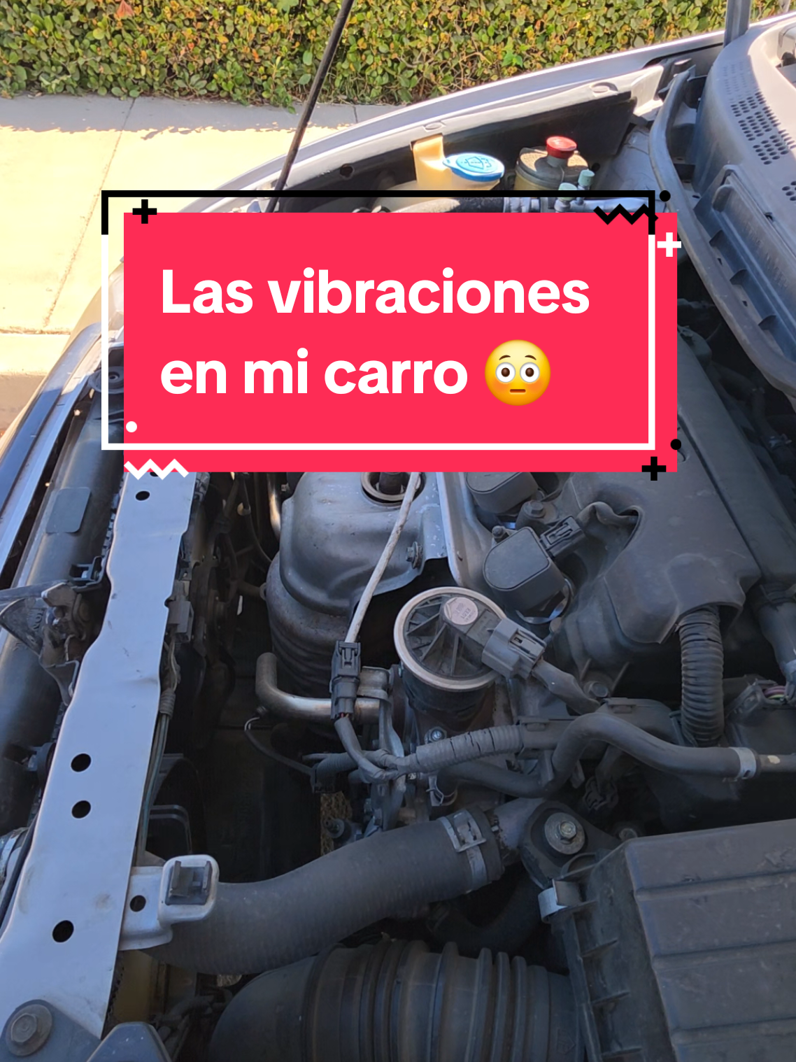 @PapirrinSupremo392