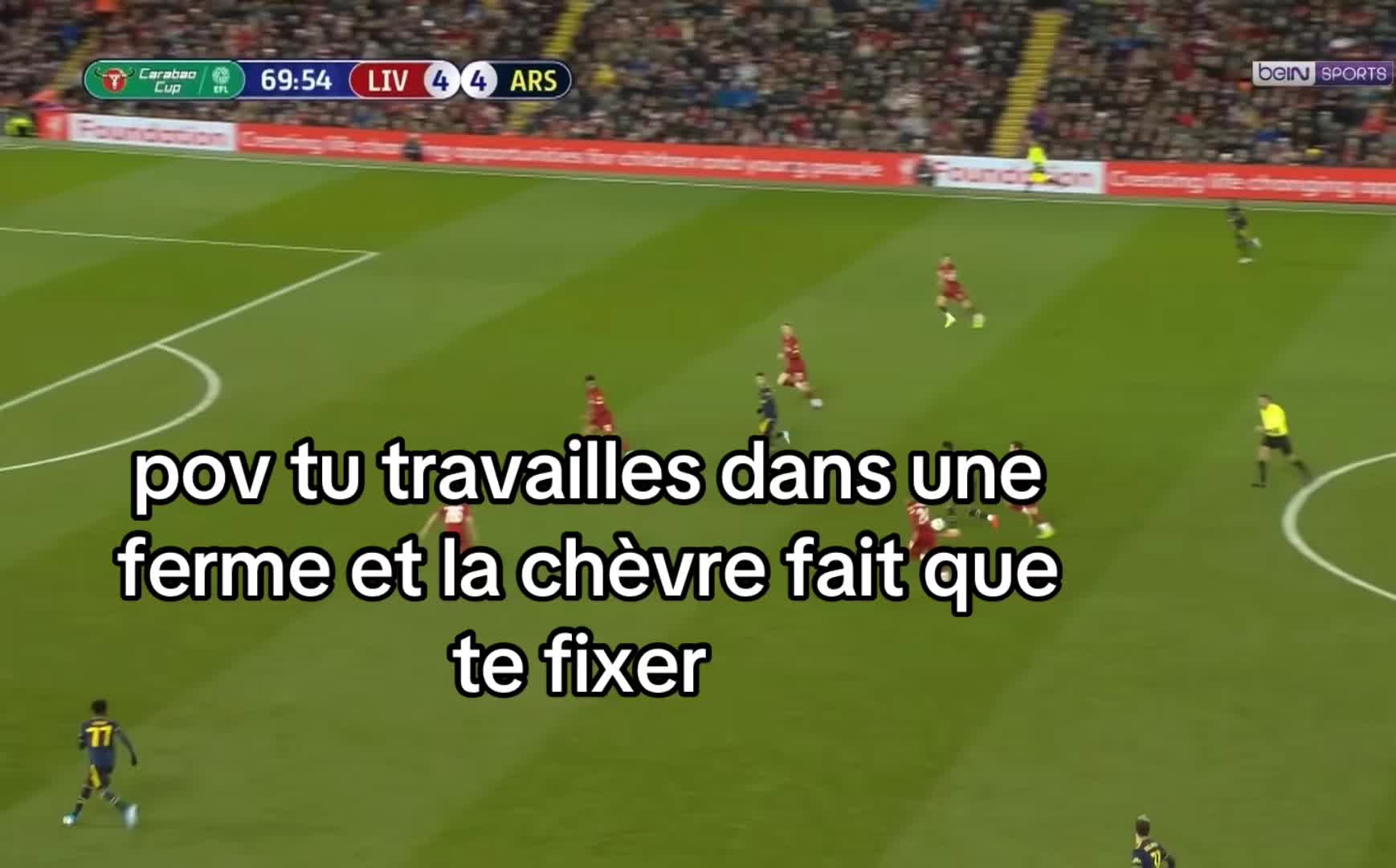 @gravenberchgoat