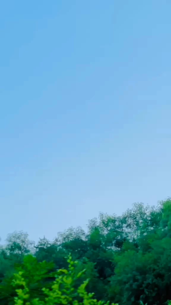 @🇵🇰 𝗦𝗪𝗔𝗕𝗜 𝗞𝗜𝗡𝗚 🇦🇫