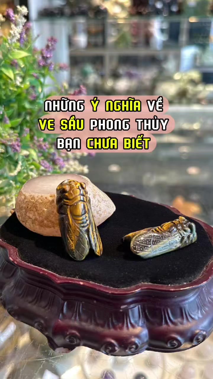 @Linh Vật Phong Thủy ☑️