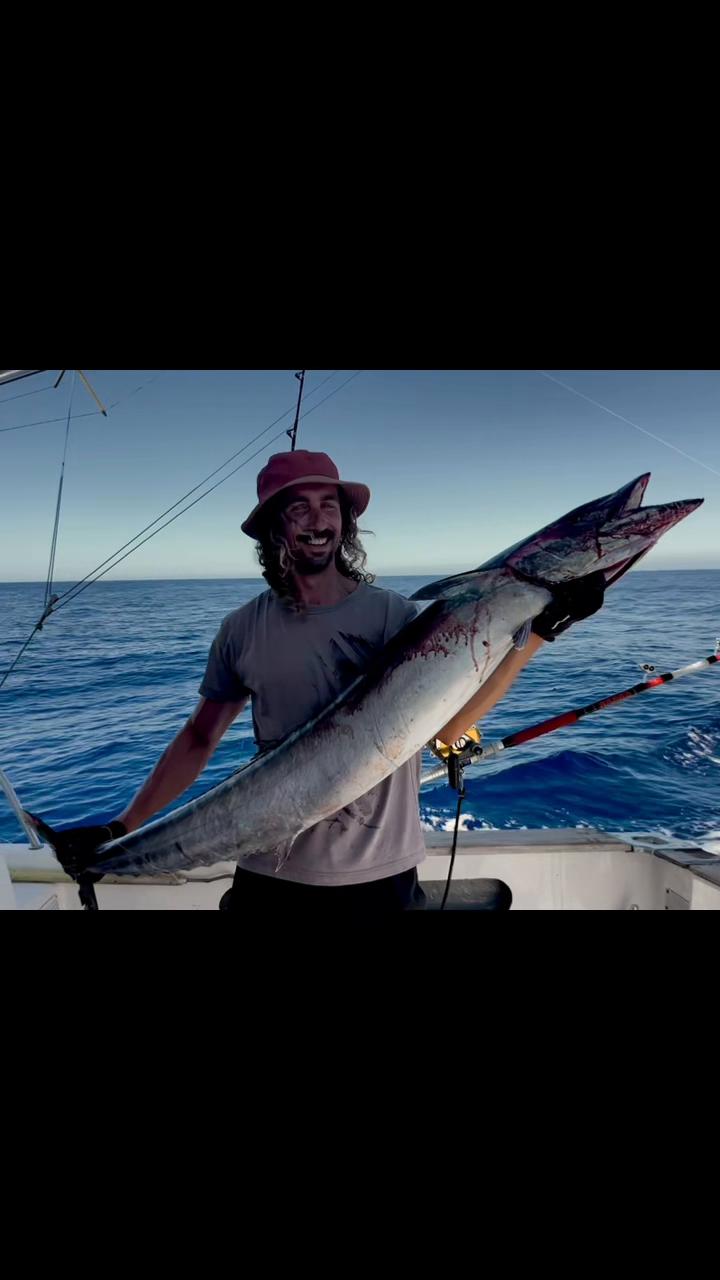 @Flipper II Madeira Fishing