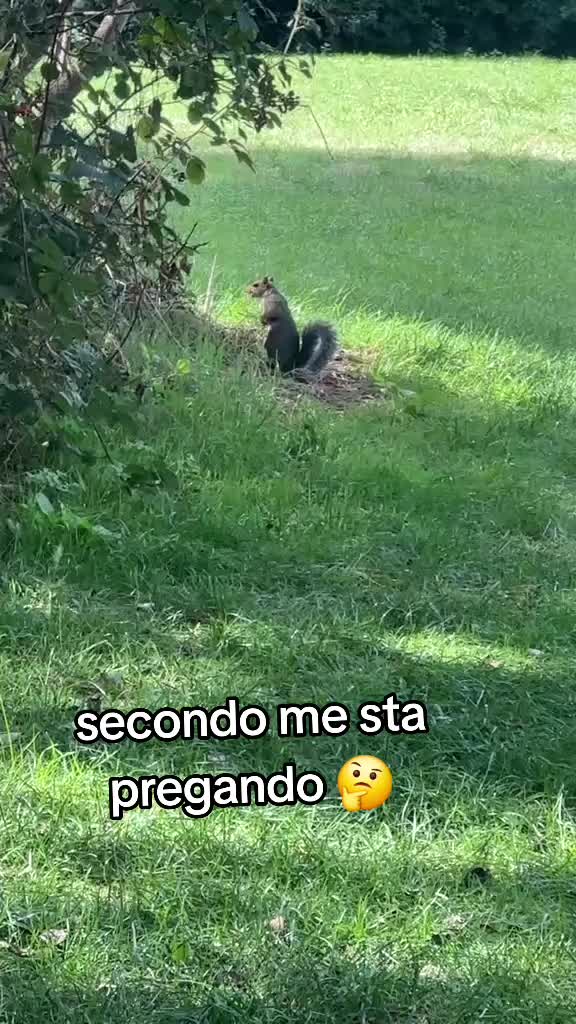 @unaNapoletanainuk🇬🇧