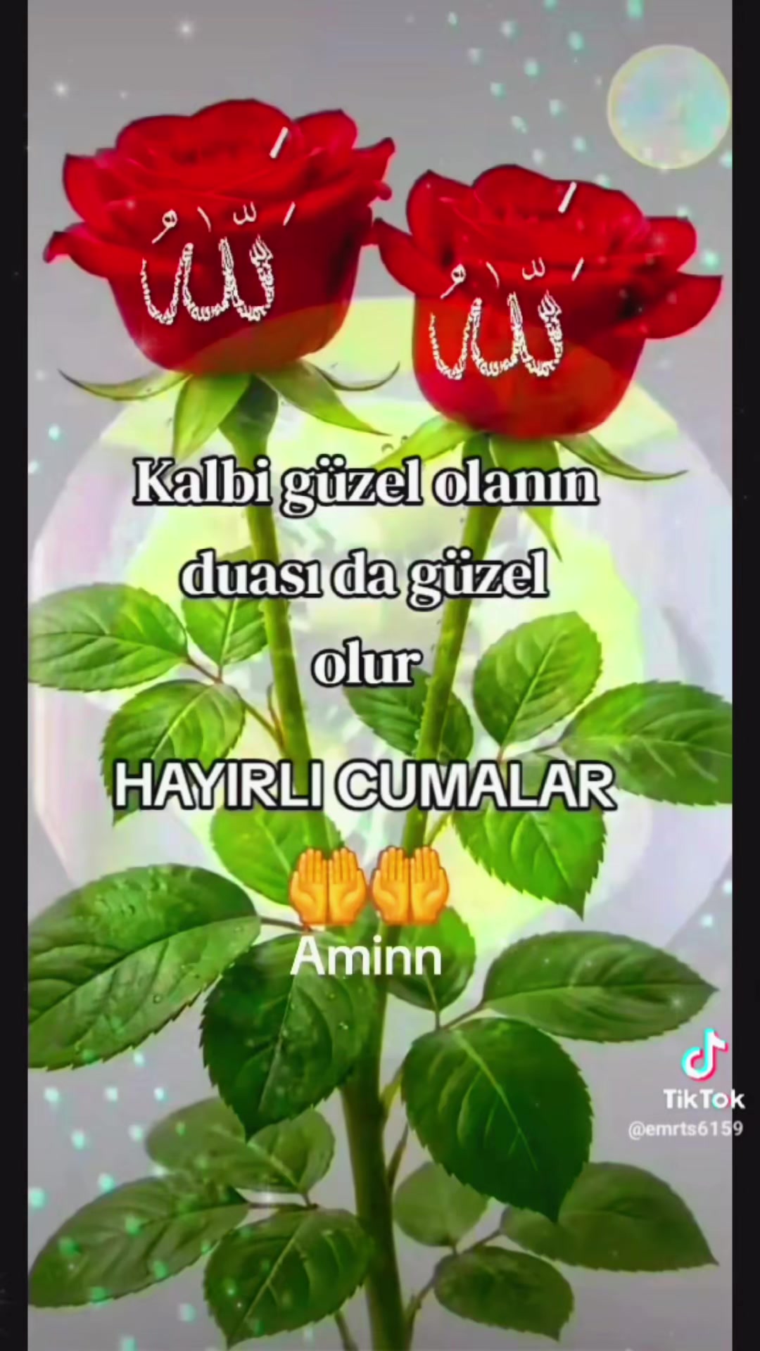 @&ouml;zlem bozkurt