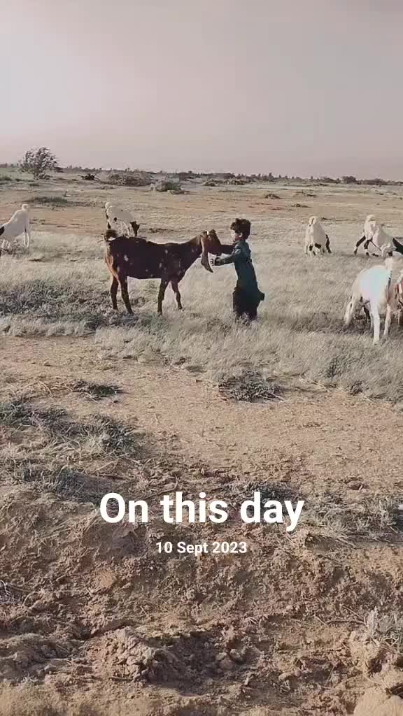 @khos
