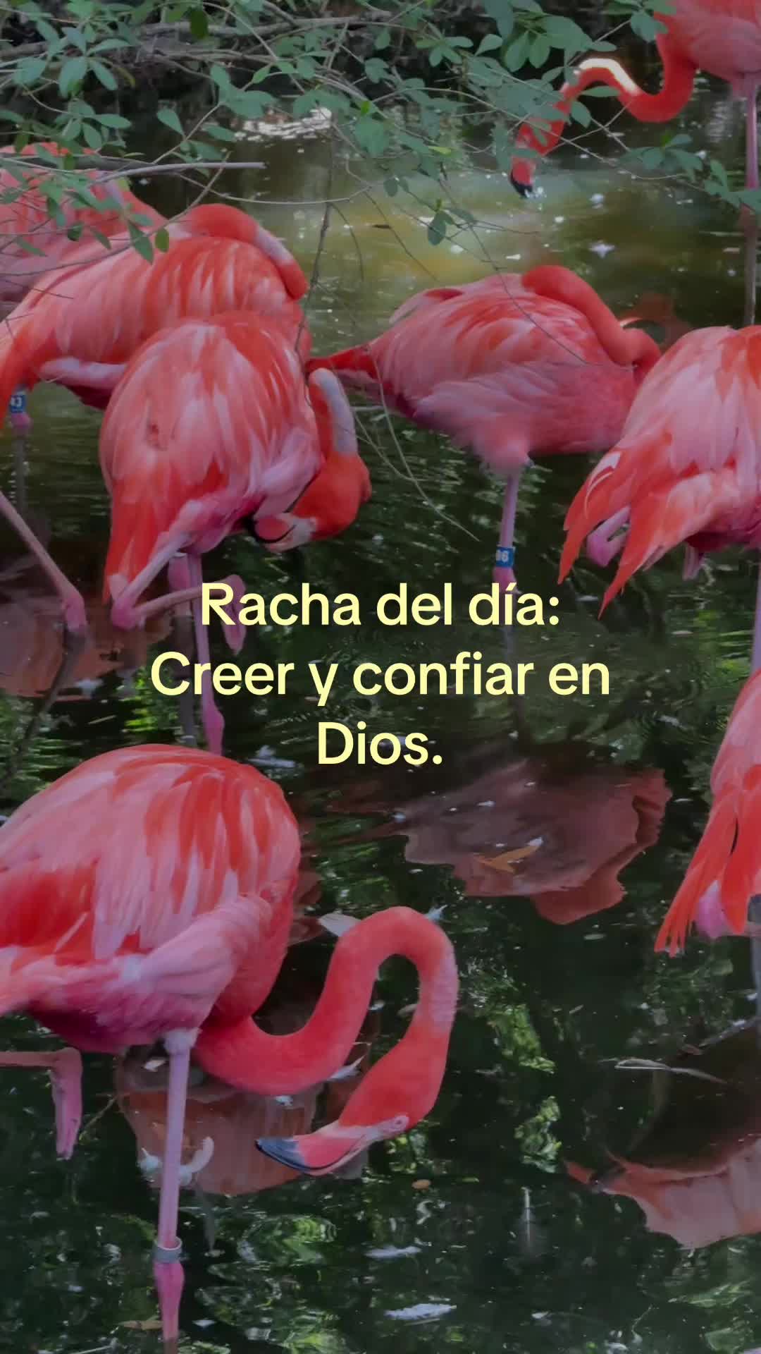 @𝕬𝖑𝖔𝖓𝖘𝖔_🏌🏻