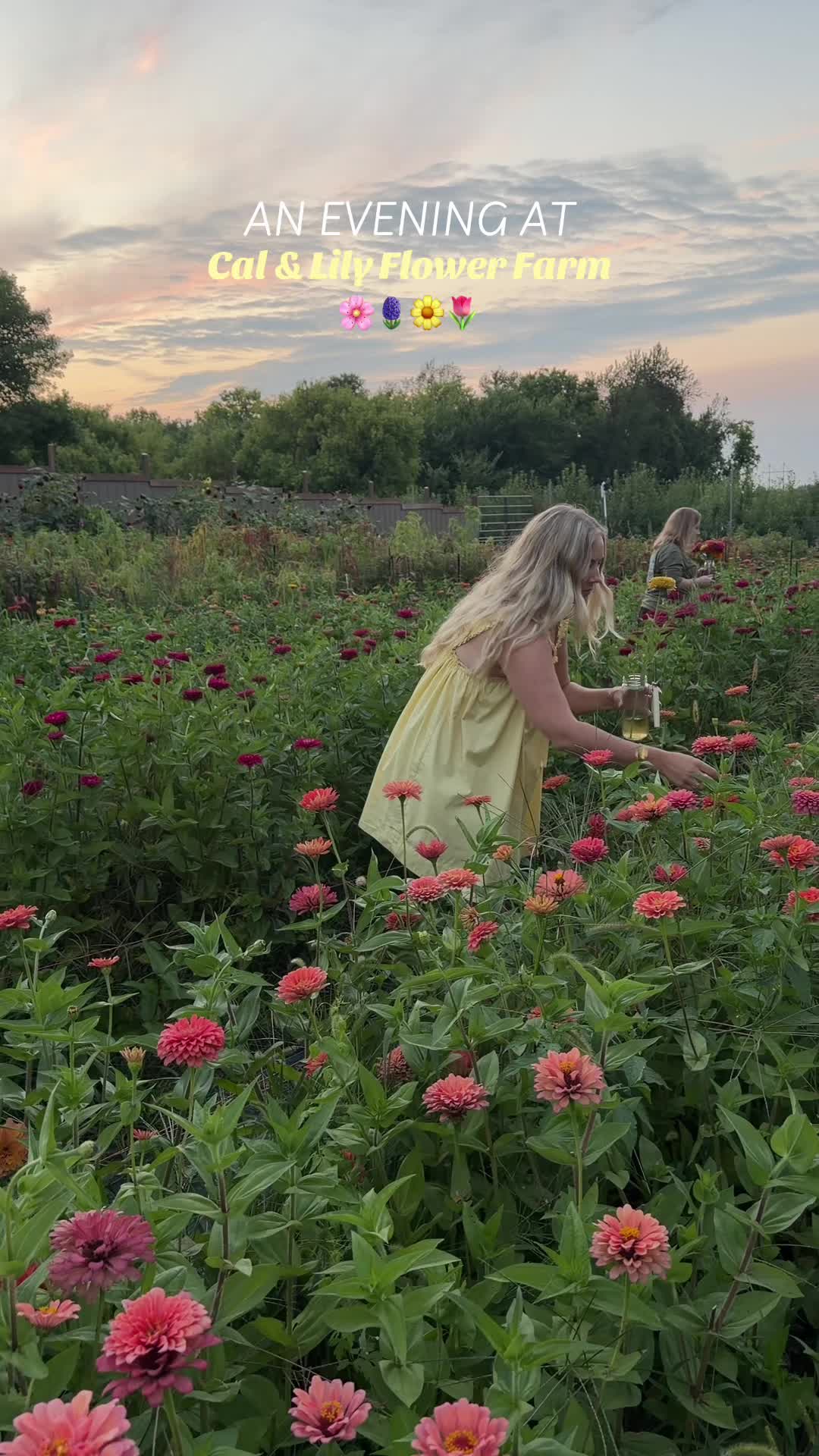 @elisedahl