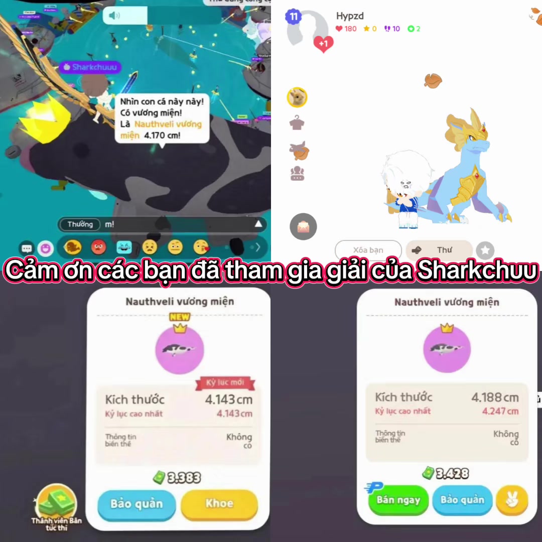 @Sharkchuuu
